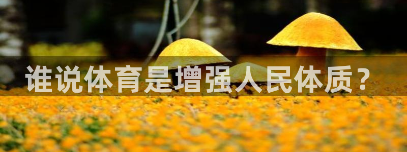 米兰体育官网下载平台注册要钱吗安全吗：谁说体育是增强