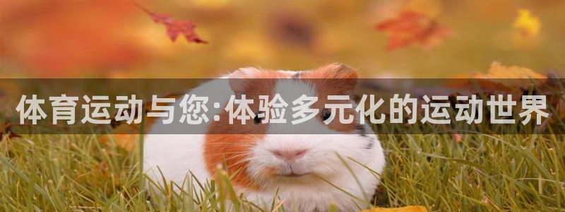米兰体育官方正版app集团官网首页：体育运动与您:体