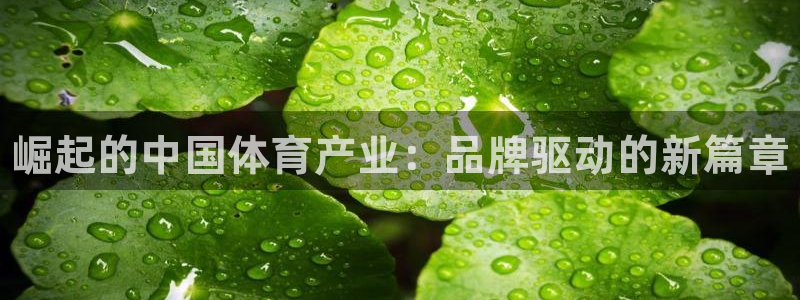 米兰体育官方平台体育：崛起的中国体育产业：品牌驱动的