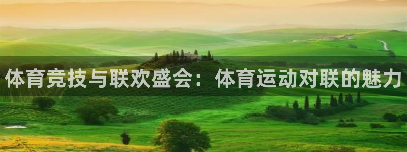 米兰体育官网下载平台注册要钱吗：体育竞技与联欢盛会：