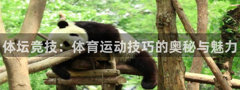 米兰体育官方正版app娱乐首页官网下载：体坛竞技：体