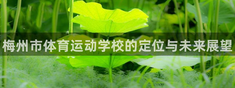 米兰体育官方正版app集团官网首页网址：梅州市体育运