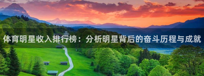 米兰体育官方正版app娱乐首页官网下载：体育明星收入