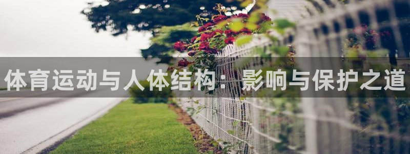 米兰体育官方正版app娱乐：体育运动与人体结构：影响与保护之