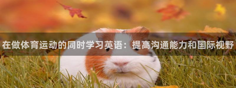 米兰体育官方正版app五金厂：在做体育运动的同时学习