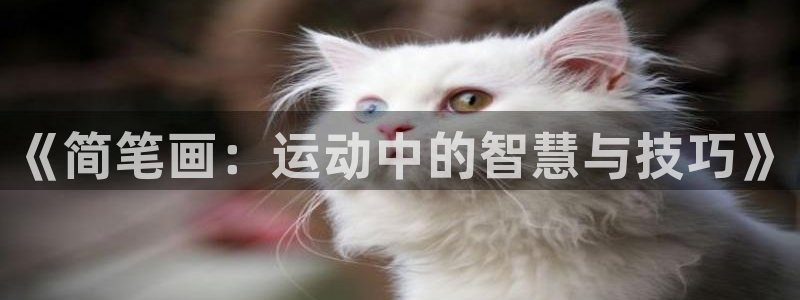 米兰体育官方正版app娱乐代理怎么样：《简笔画：运动中的智慧