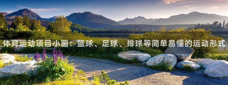 米兰体育官网下载招商电话是多少：体育运动项目小画：篮球、足球