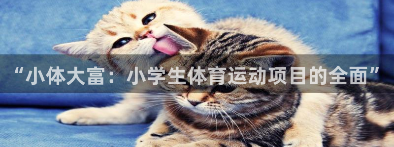 米兰体育官方正版app官方：“小体大富：小学生体育运