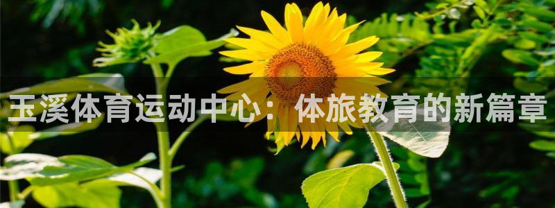 米兰体育官方正版app娱乐代理怎么样：玉溪体育运动中心：体旅