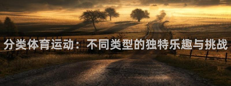 米兰体育官方正版app娱乐代理怎么样：分类体育运动：不同类型
