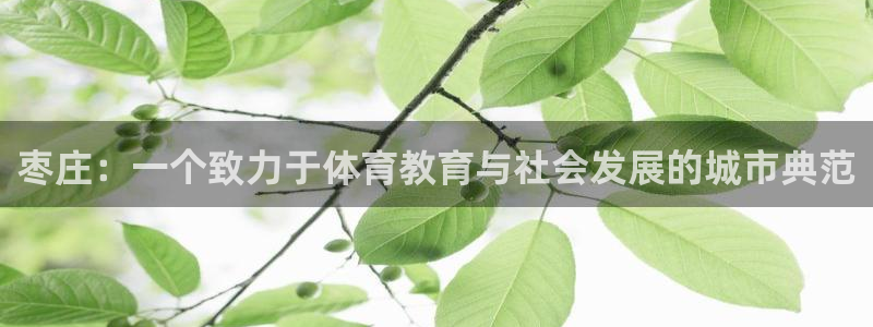 德国米兰体育官方正版app集团：枣庄：一个致力于体育教育与社