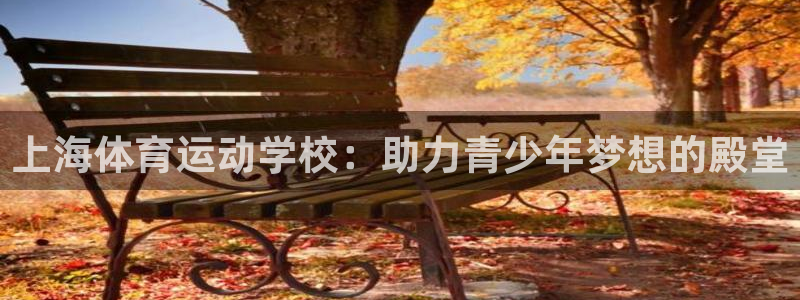 米兰体育官方正版app娱乐代理怎么样：上海体育运动学