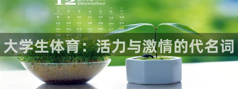 米兰体育官方正版app娱乐网站：大学生体育：活力与激