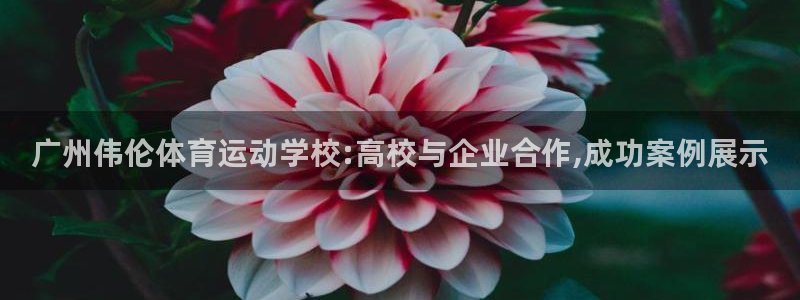 米兰体育官网下载招商电话号码：广州伟伦体育运动学校: