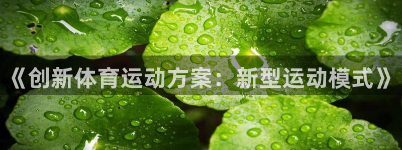 米兰体育官网下载招商电话：《创新体育运动方案：新型运