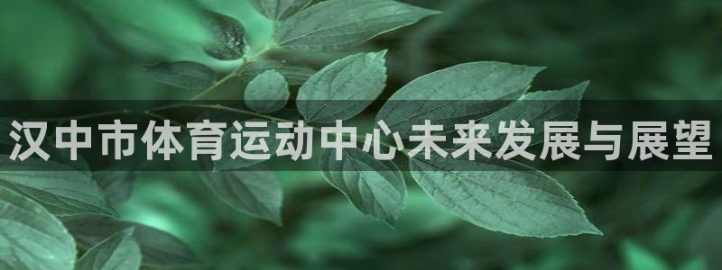 米兰体育官方正版app集团：汉中市体育运动中心未来发