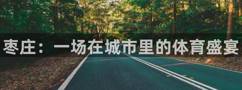 米兰体育官网下载平台APP：枣庄：一场在城市里的体育盛宴