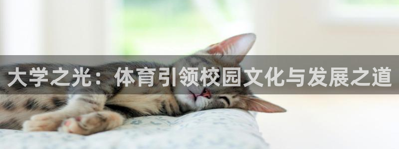 米兰体育官方正版app神州：大学之光：体育引领校园文化与发展