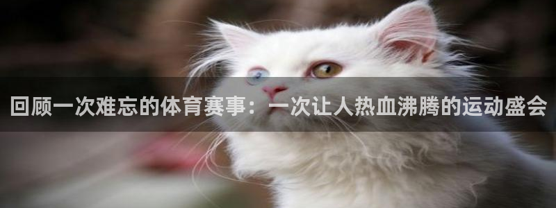 米兰体育官网下载招商电话号码查询是多少：回顾一次难忘